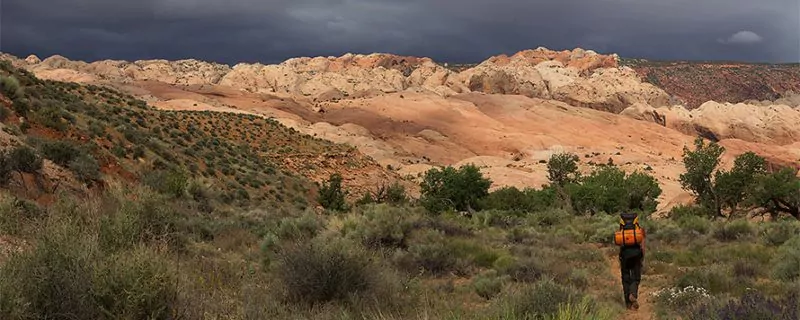 Backpacker rim trail