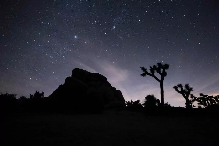 Joshua Tree desert night sky