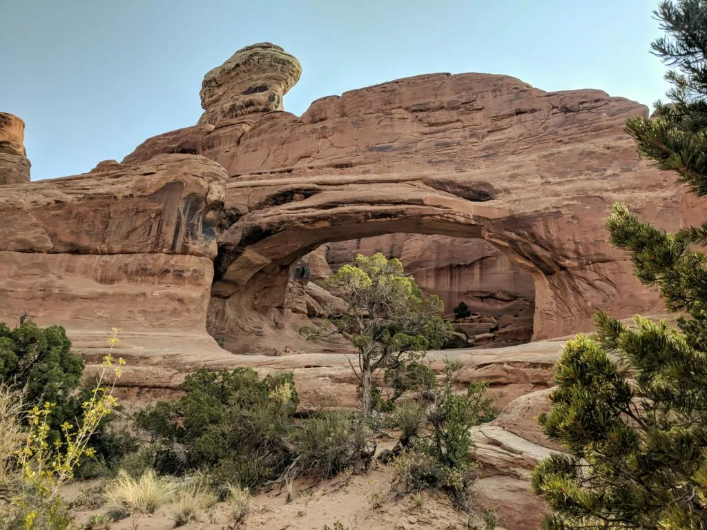 Tower Arch