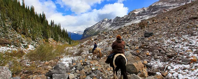 Horseback riders on a trail