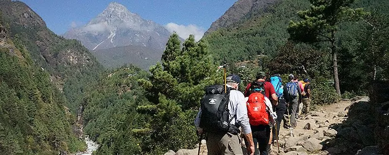 hikers walking on lush Nepalese trail