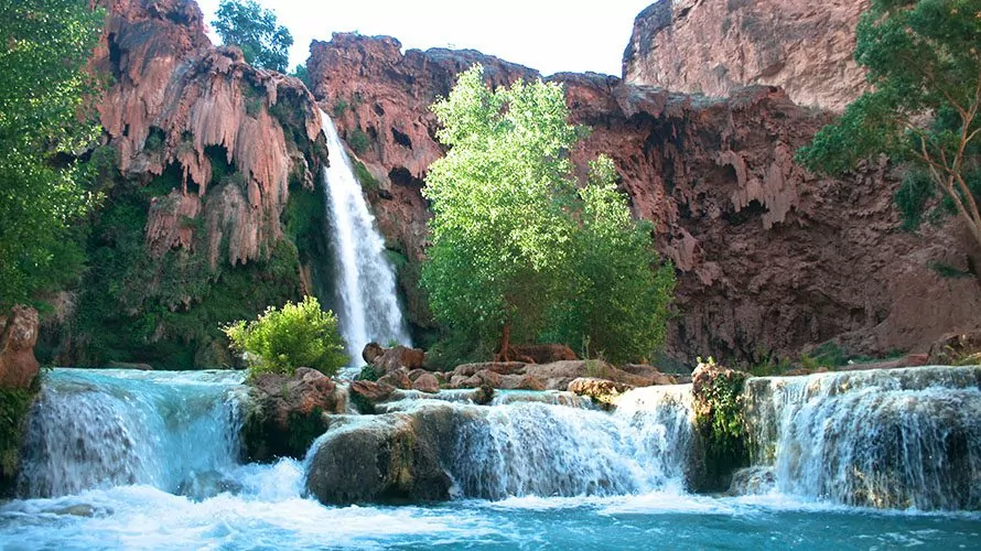 Havasu falls guided tours discount