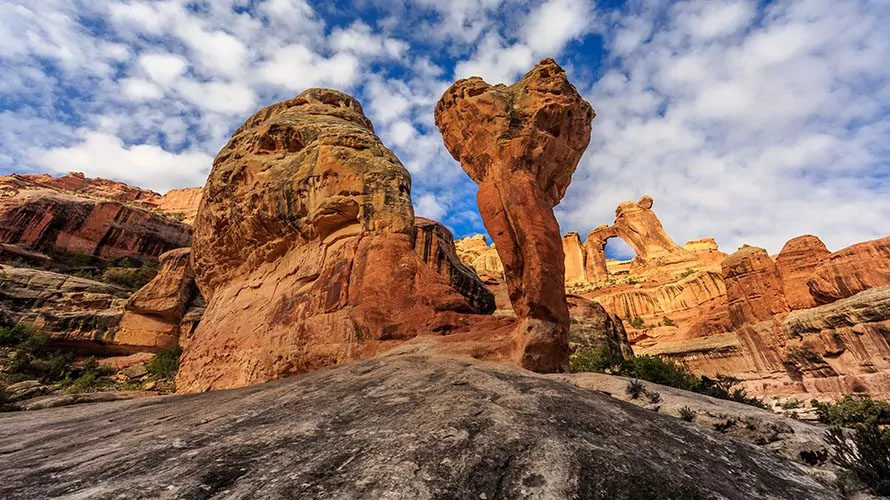 Ancient Canyonlands Traverse Backpacking Tour Wildland Trekking