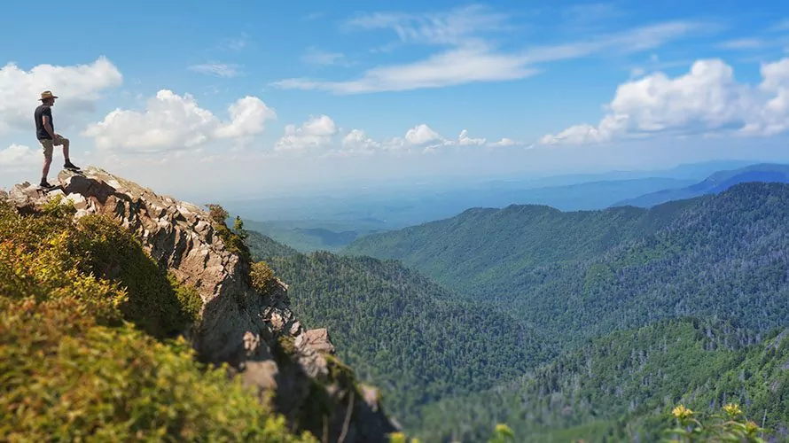 Guided Smoky Mountains Day Hike Tours Wildland Trekking