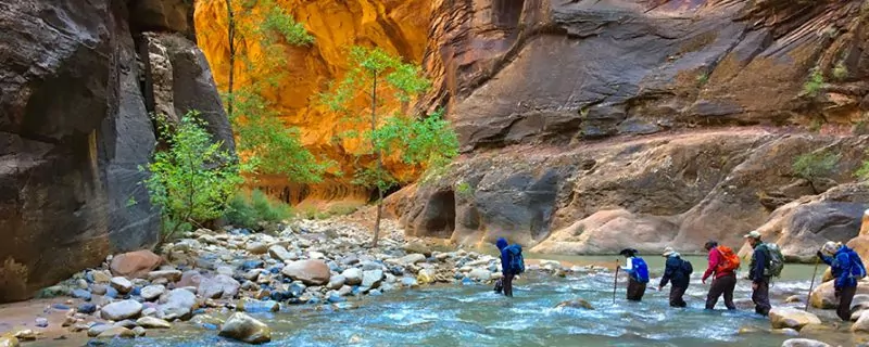 Hikers zion river