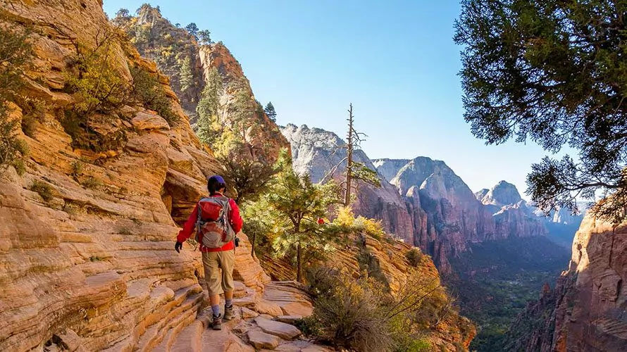 Zion backpacking trips store