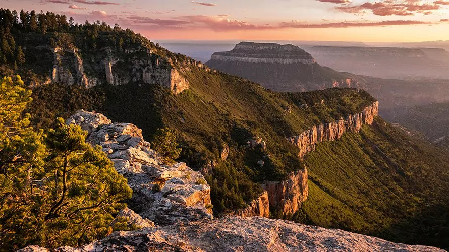 North Rim views