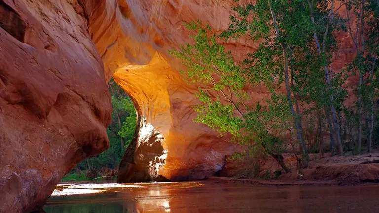 Coyote gulch camping sale