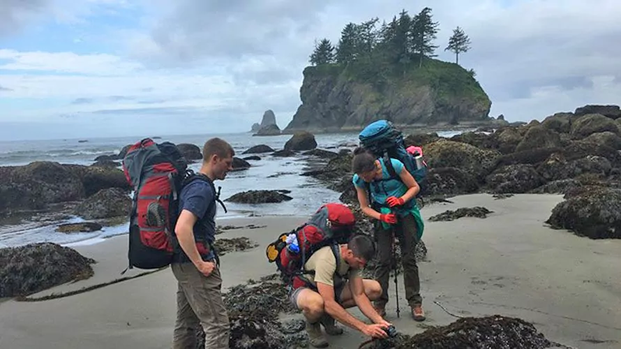 Olympic national park hot sale coast backpacking