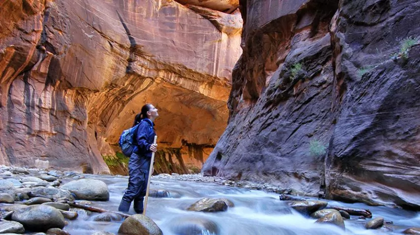 Hiker zion narrows