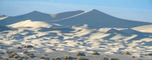 mesquite white dunes