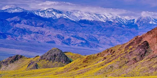 Death Valley mountains with grass