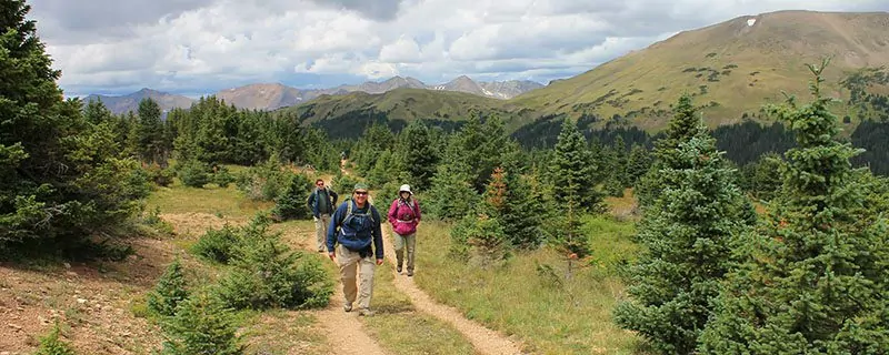 Hikers going to summit