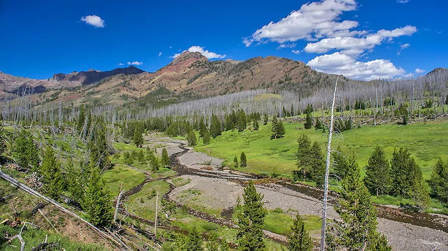 Thorofare trail hotsell