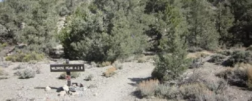 Wildrose Trail Sign