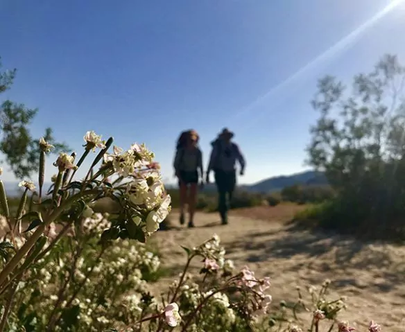 two hikers at Joshua Tree