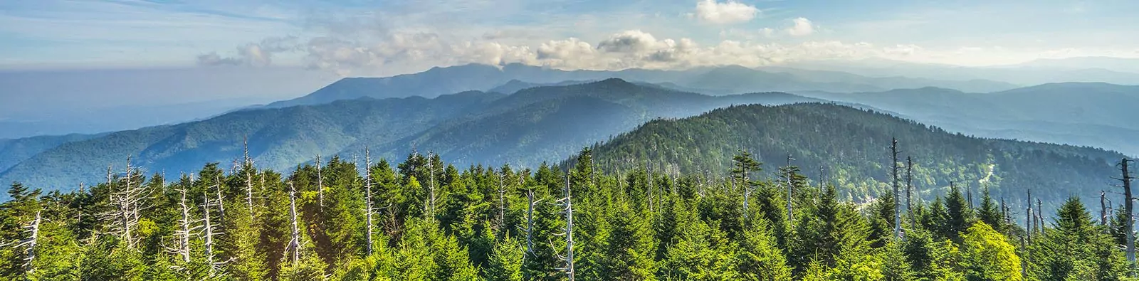 Detailed shot of part of the Smoky Mountains in Tennessee. This shot was taken from top Clingman's Dome