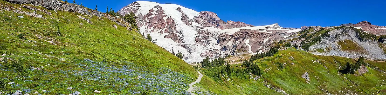 Hiking trail in Mount Rainier National Park