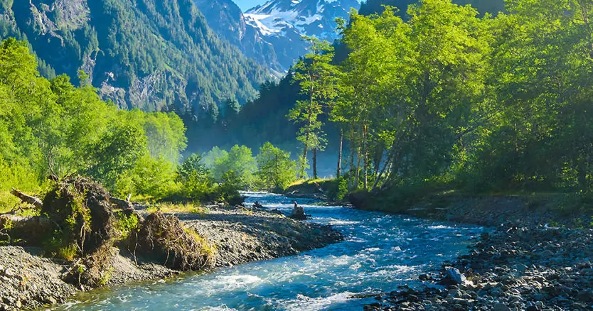olympic National park backpacking