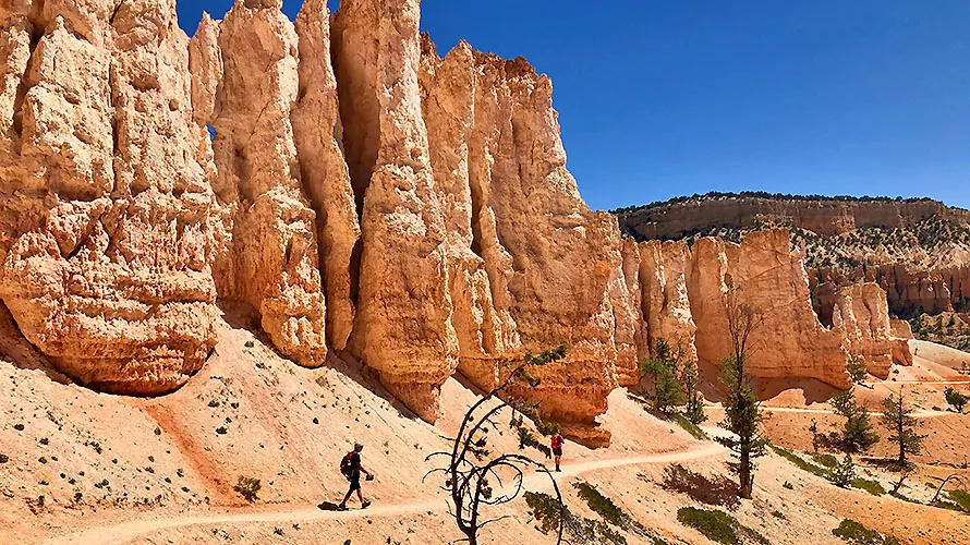 Bryce canyon deals backpacking trips