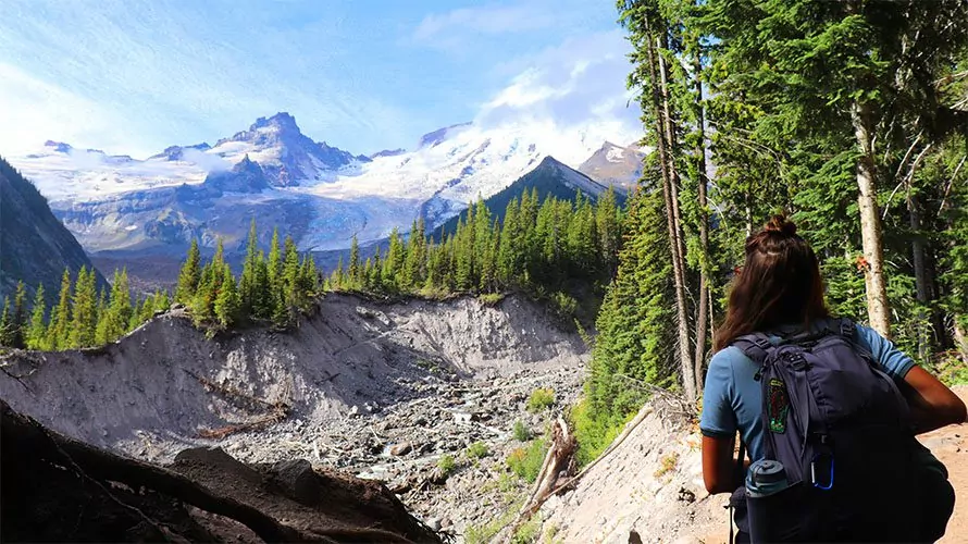Camp muir trail online