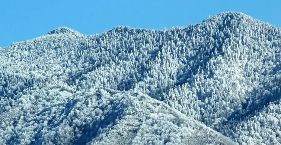 Mount Cammerer, a winter hike without snowshoes in Great Smoky Mountains National Park