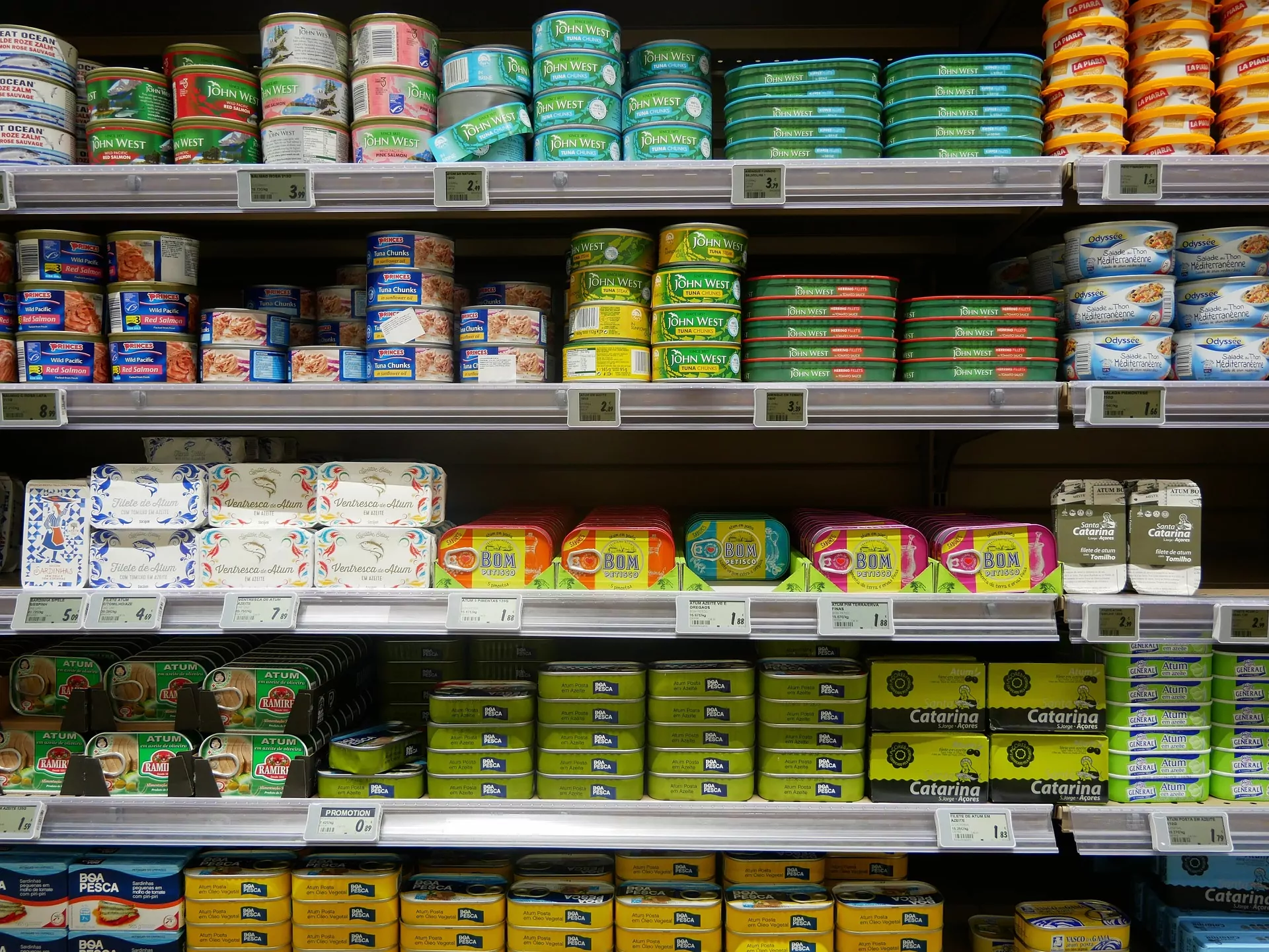 tuna cans on a grocery shelf