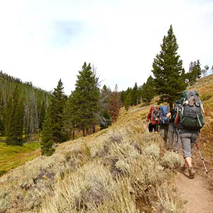 Hikers head upwards in Yellowstone National Park