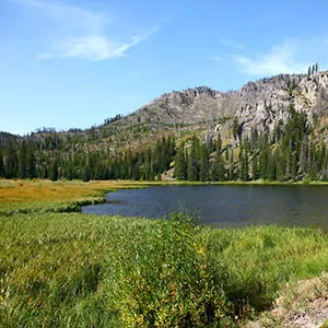 A beautiful lake near a meadow with a mountain background in Yellowstone National Park