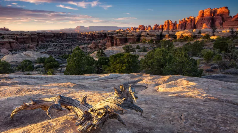 Sunset on the cliffs of Canyonlands National Park