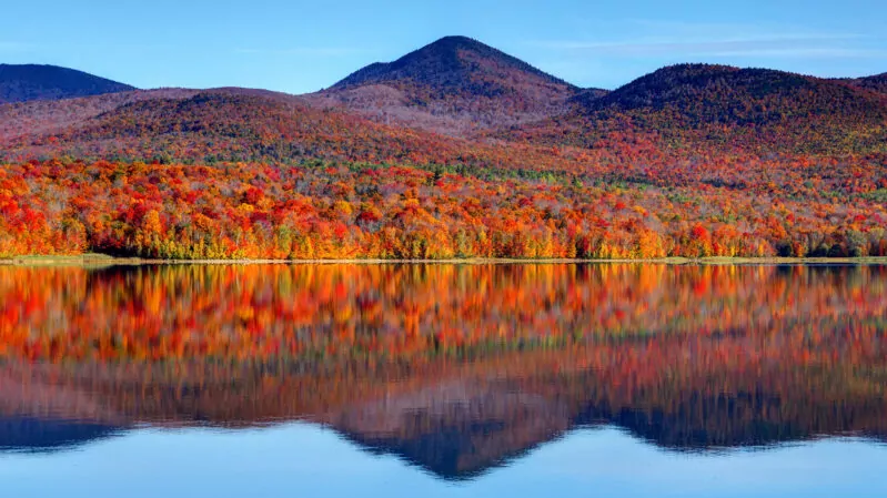 Early morning autumn in the Green Mountain National Forest in Vermont