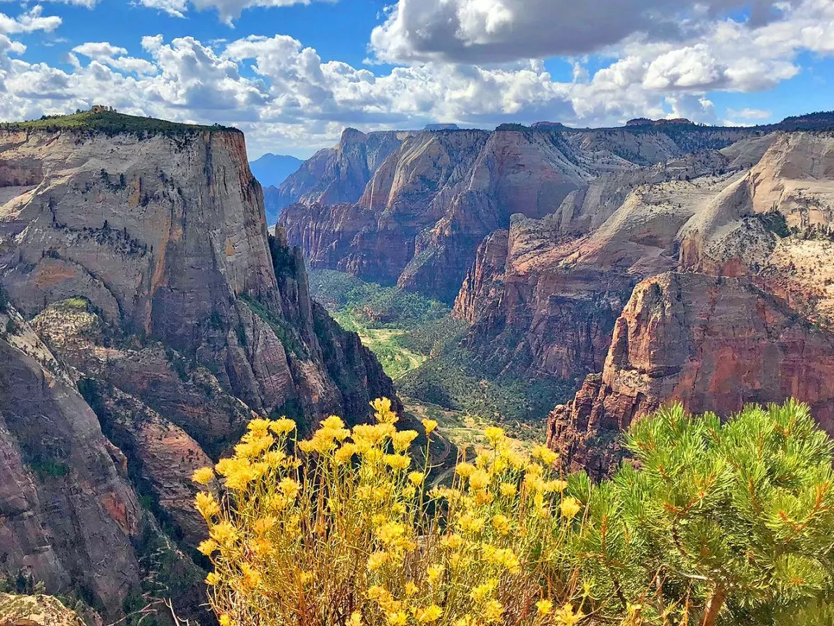 Zion National Park in the USA