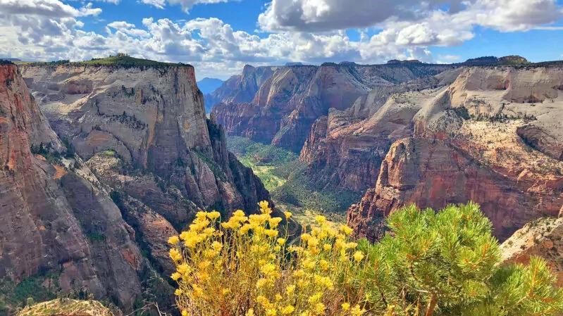 Zion National Park in the USA