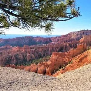 Blue skies, pine trees, and the sandstone of Bryce Canyon.
