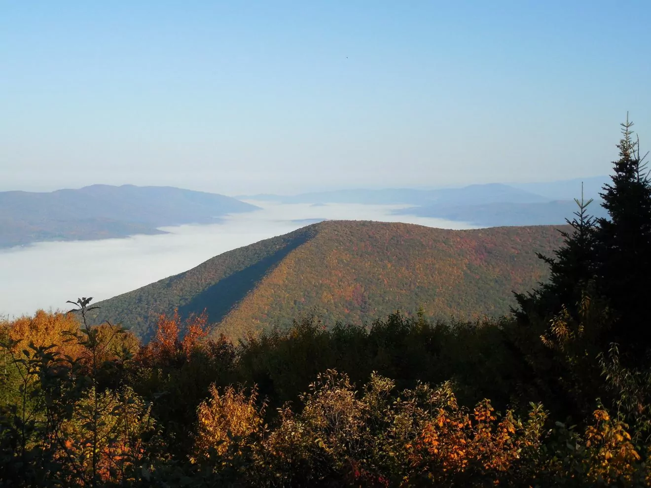 Mount Greylock fall foliage