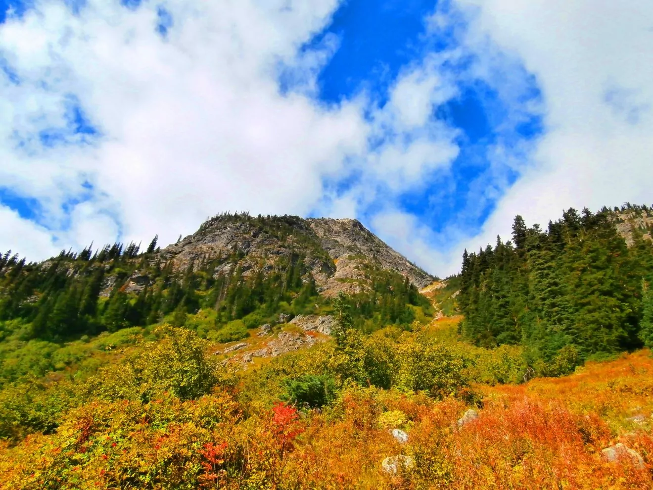 Maple Pass Washington fall colors