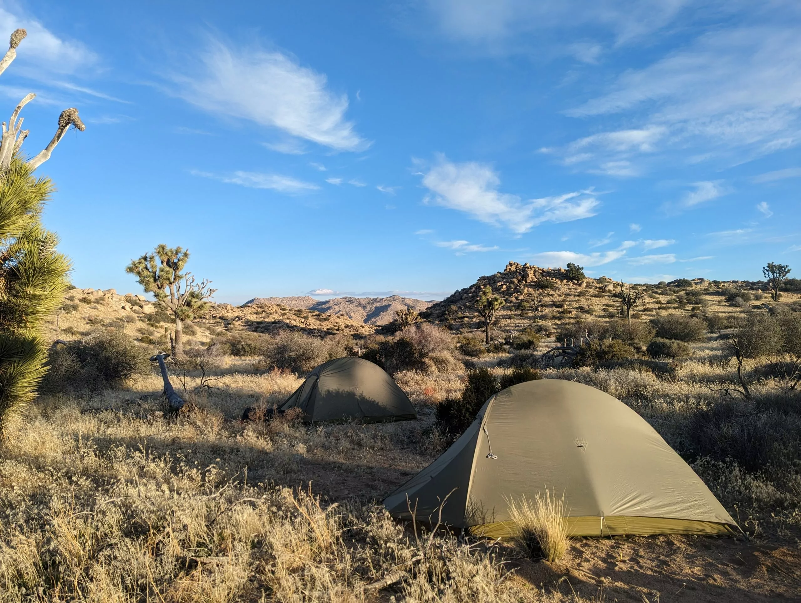 Best backcountry on sale camping joshua tree