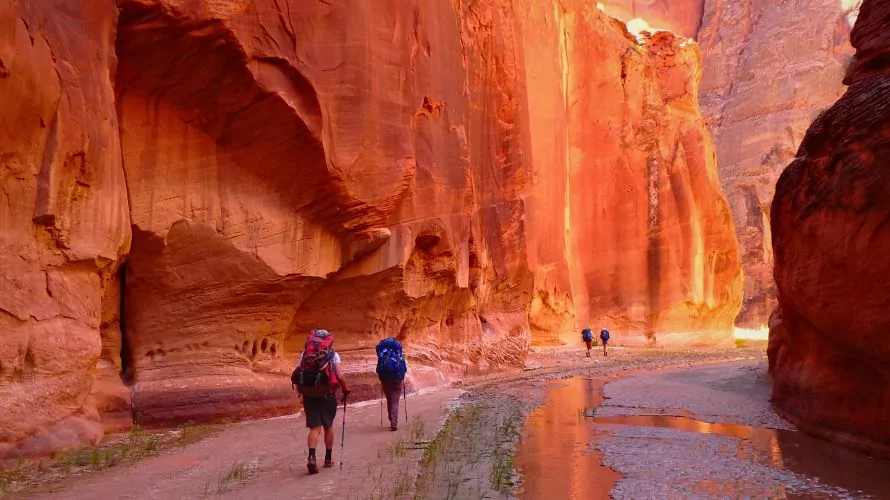 Backpackers walk through towers red rock walls