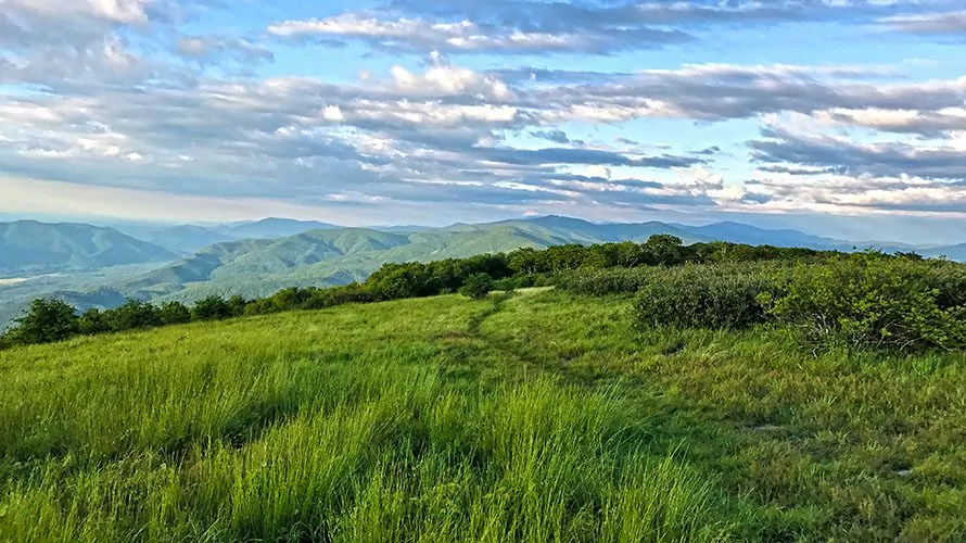Gregory Bald in Great Smoky Mountains National Park