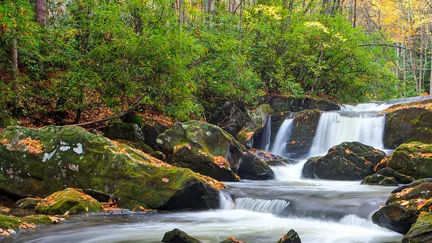 Lynn Camp Prong Cascades in Great Smoky Mountains National Park