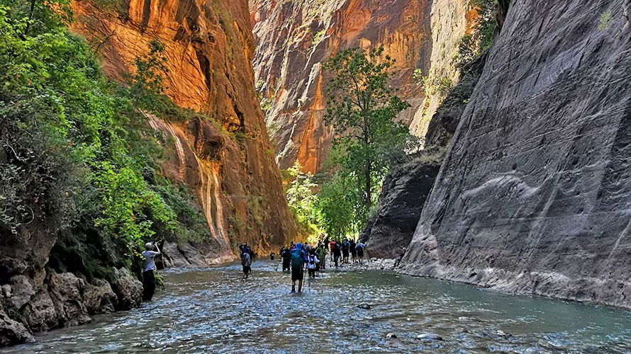 Zion National Park Hiking Treks Tours Wildland Trekking