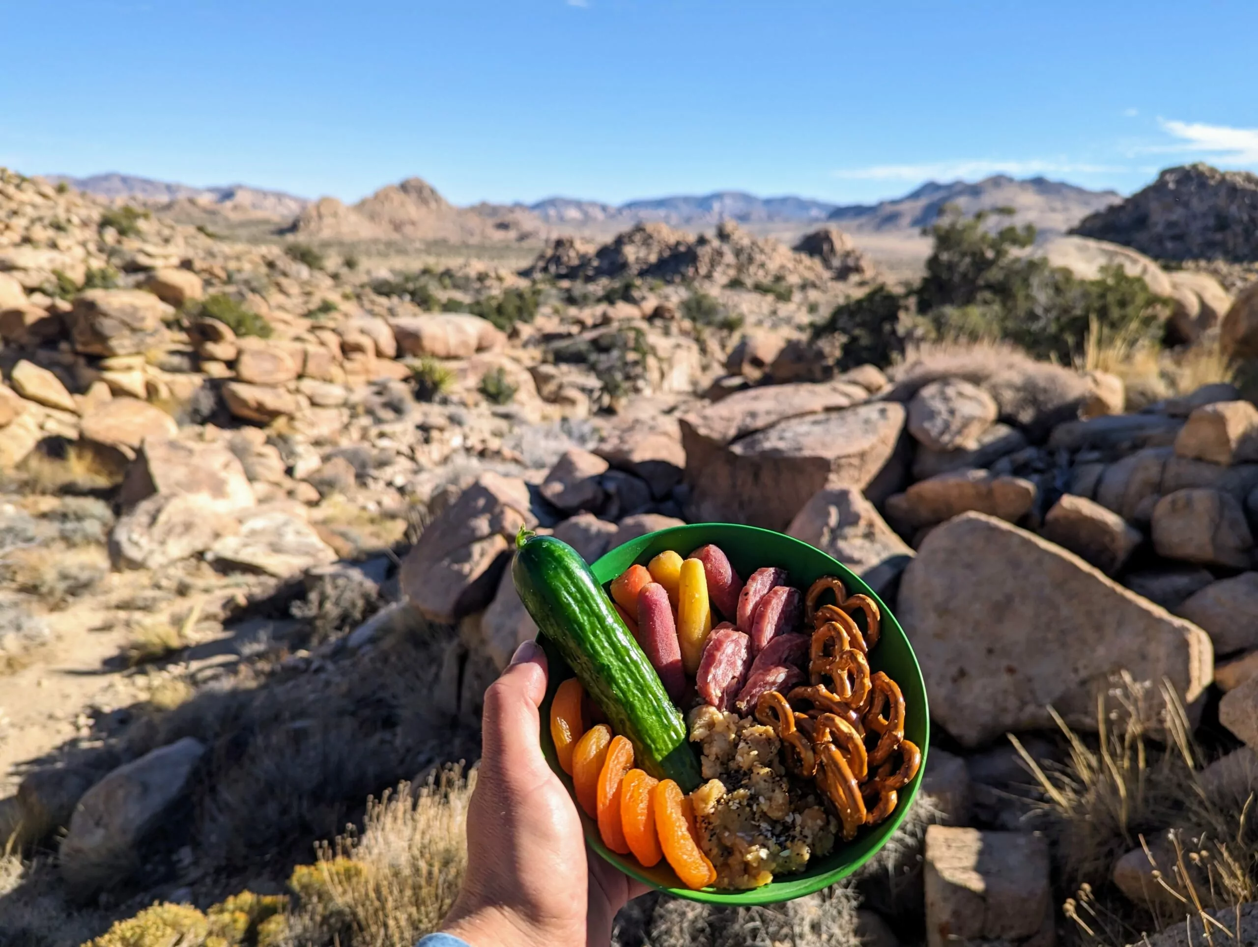 Picnic lunch in Joshua Tree