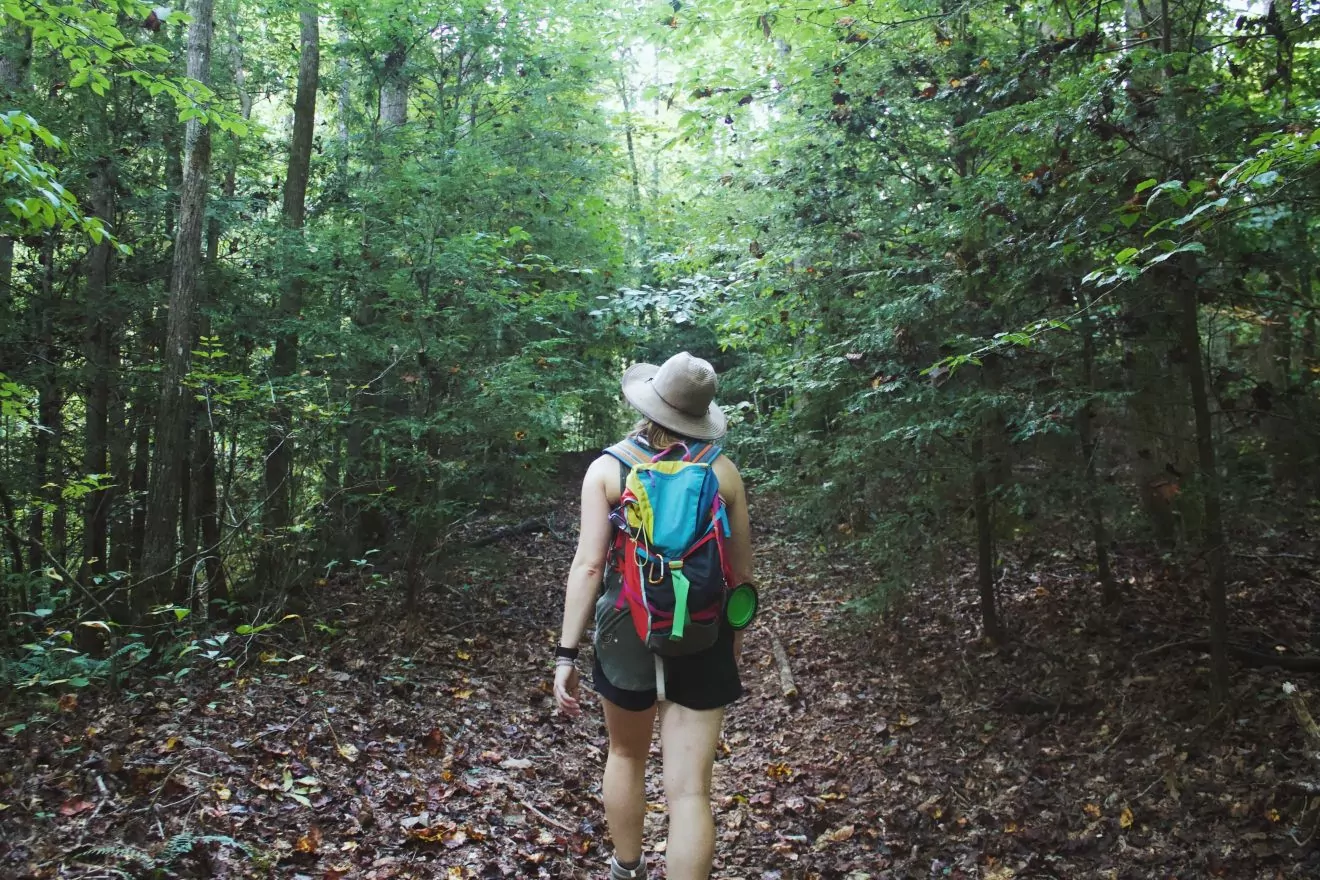 Women hikers in the summer in a Tennesse forest.