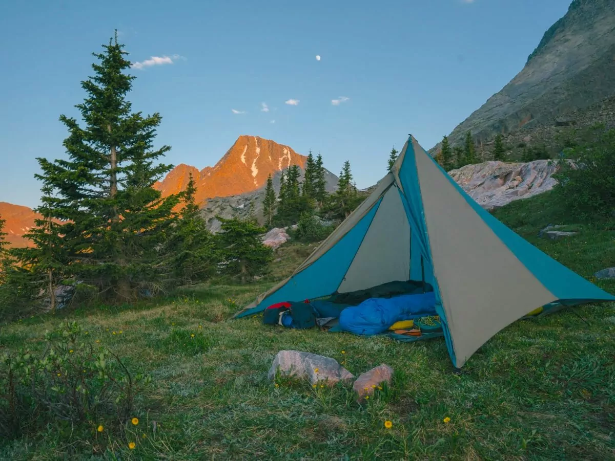 a tent in a grassy area surrounded by trees.
