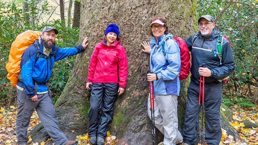 4 hikers in Great Smoky Mountains National Park