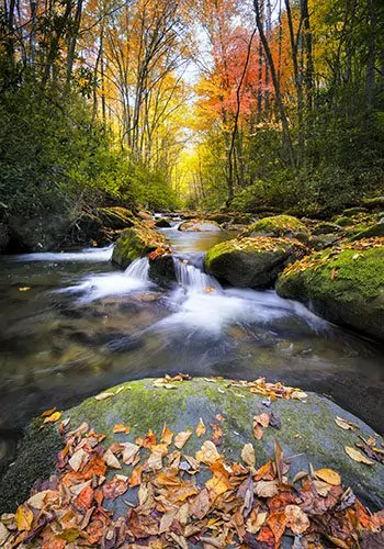 Little River off of Tremont Rd. in Great Smoky Mountain National Park with fall colors on display