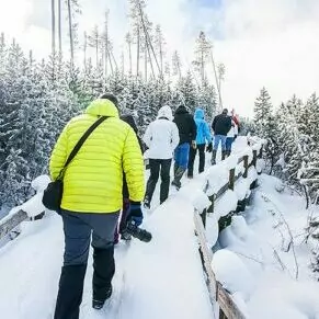 hiking snowshoeing group trip Yellowstone in January