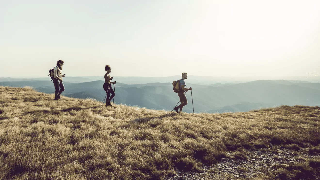 Group of hikers enjoying the view