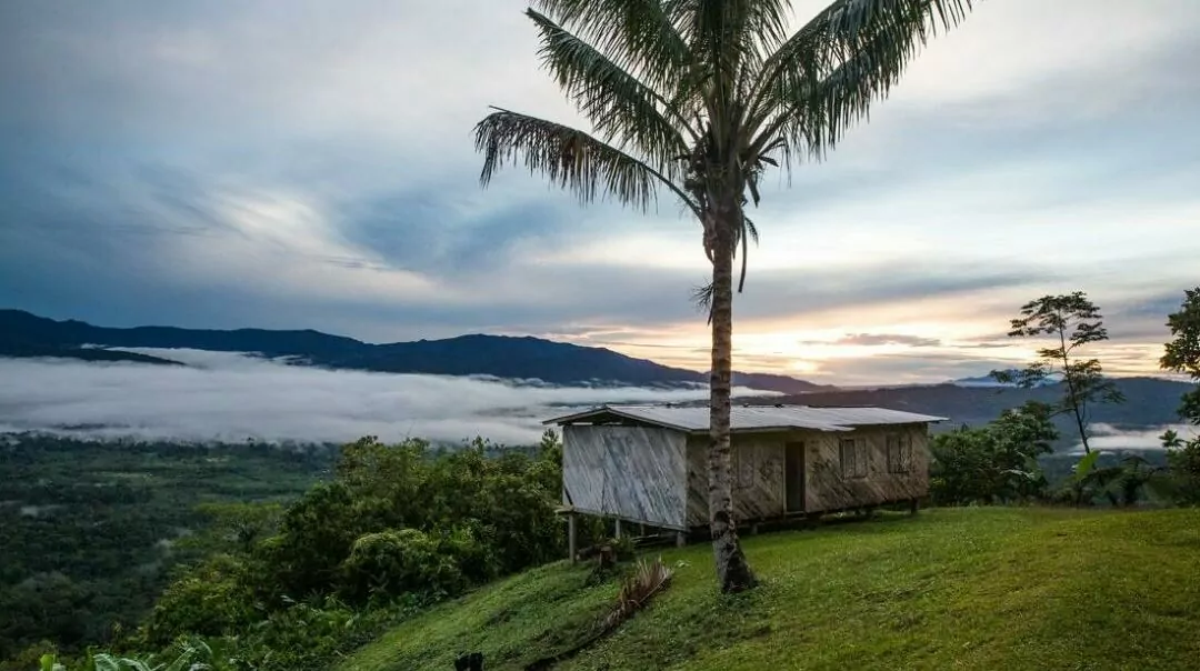 Papua New Guinea hiking trips, trekking in Papua new guinea, adventure hiking vacations, mountains, palm tree, clouds, huts