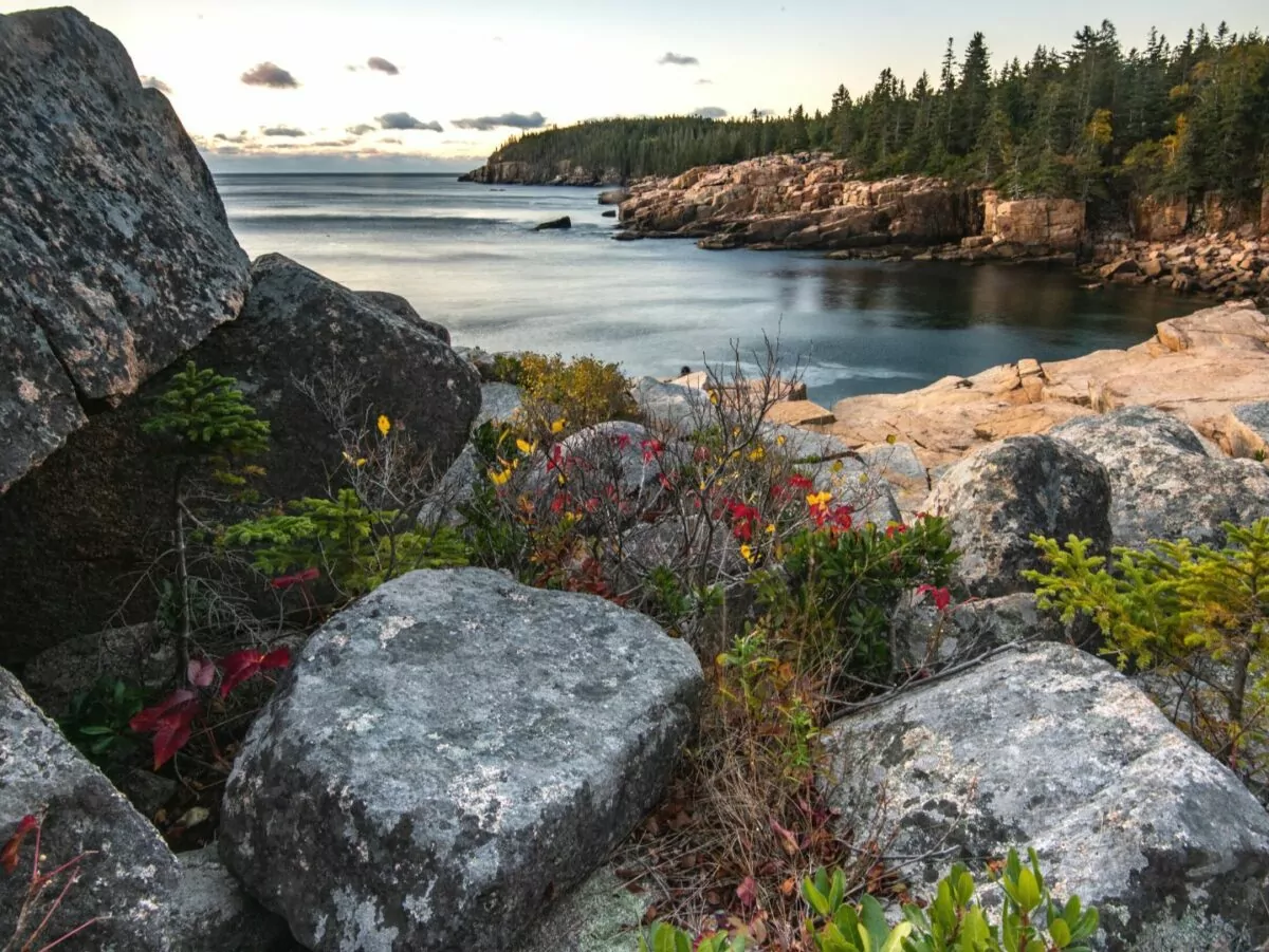 Rocky Atlantic coastline in Acadia shows signs of autumn color